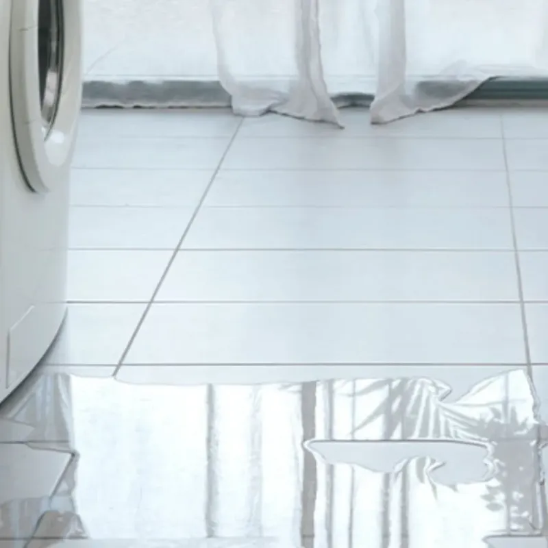 Appliance Leak Cleanup in Bainbridge Island, WA