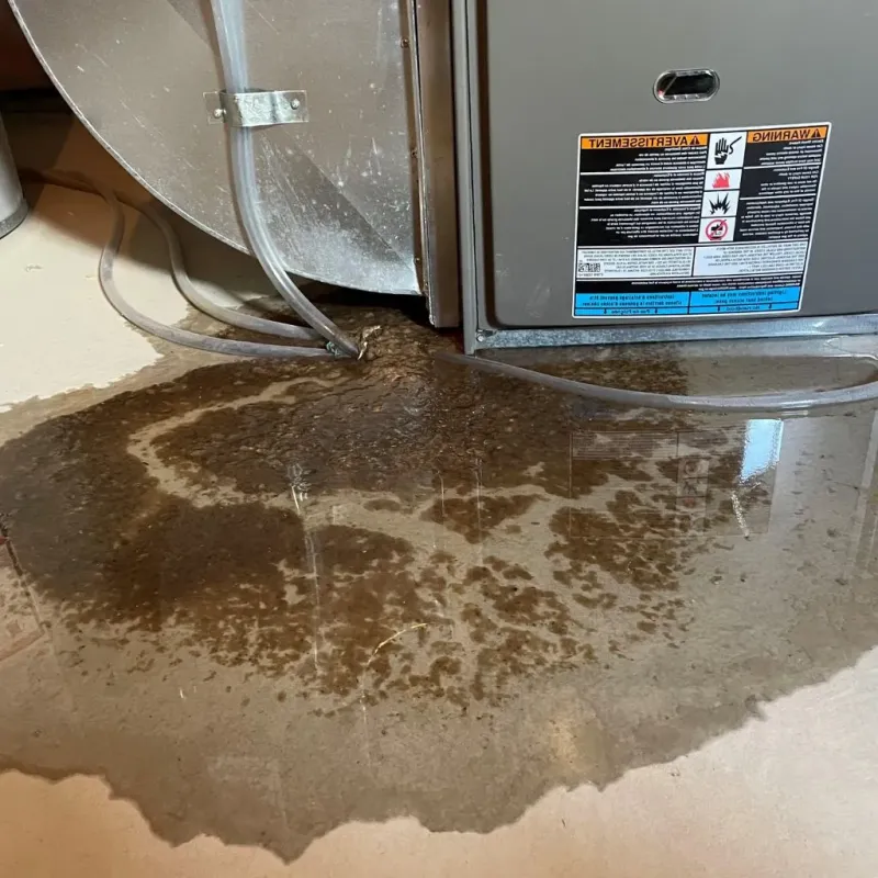 Pipe Burst and Leak Restoration in Bainbridge Island, WA