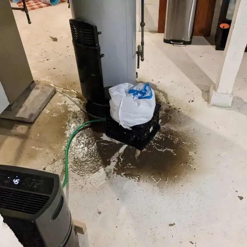 Sewage Backup Cleanup Service in Bainbridge Island, WA